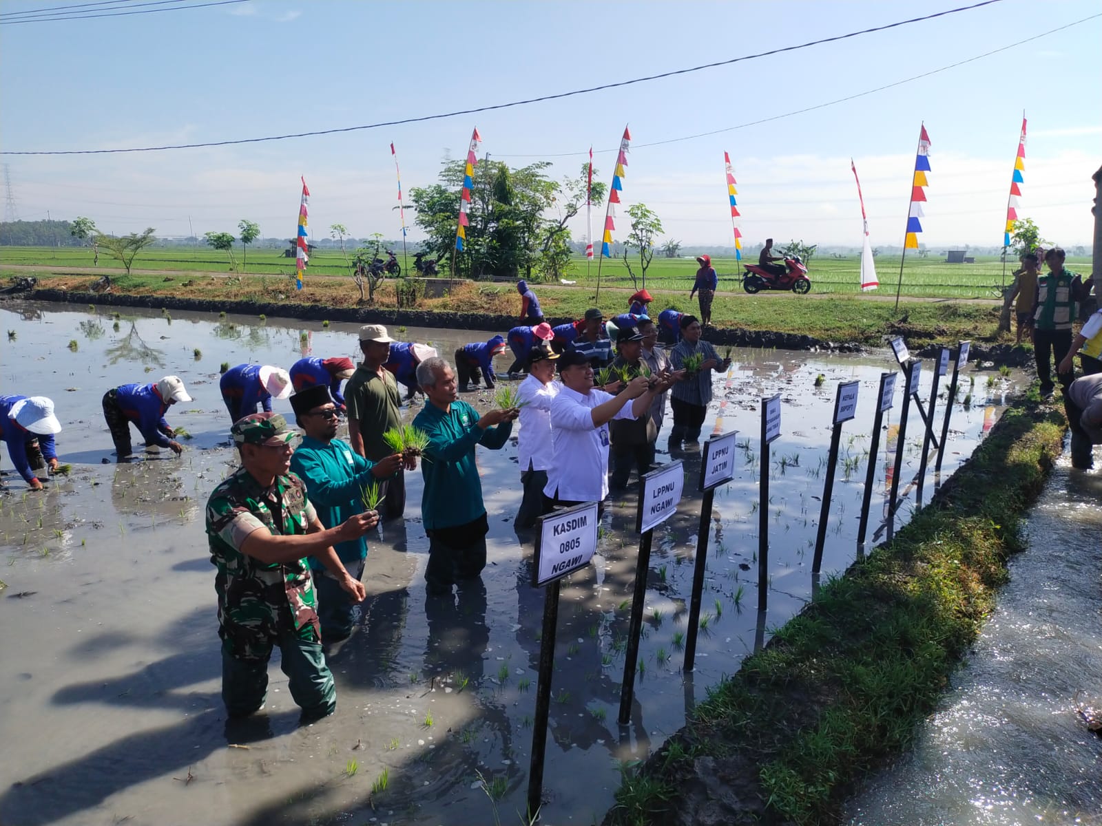 Percepatan Tanam Padi Serentak di Jawa Timur, Kasdim : Ngawi Jadi Salah Satu Titik Kegiatan