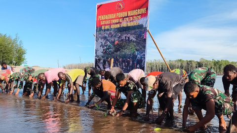 Satgas TMMD Kodim 1710/Mimika Bersama Warga Tanam Ribuan Bibit Mangrove