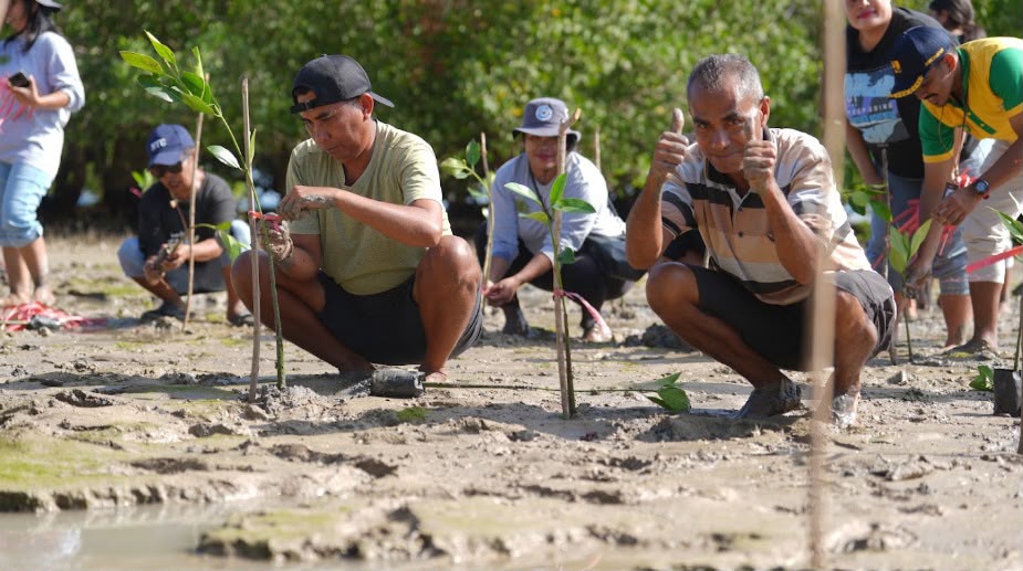HUT RI ke-81, KKP dan Warga Rote Ndao Tanam 5.000 Mangrove