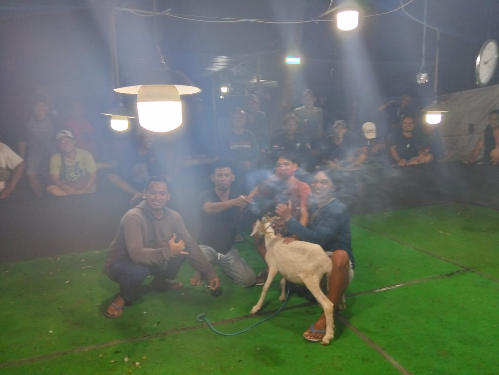 Foto Kambing dan Pemain Diterima Redaksi, Dugaan Judi Sambung Ayam Kertobanyon Disorot
