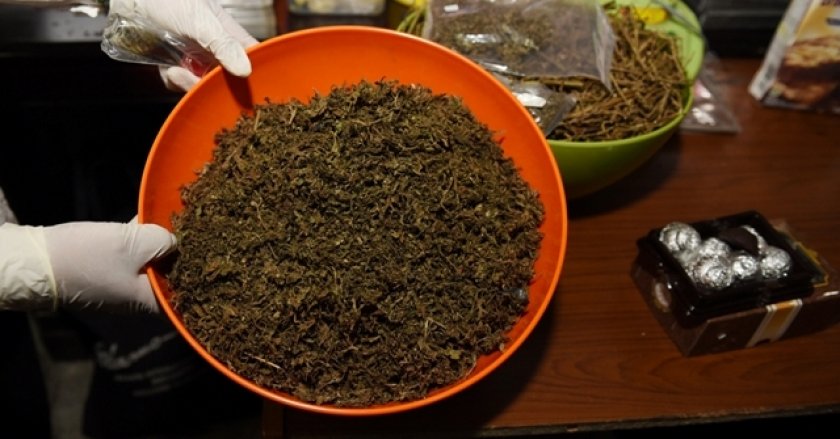   Rumah Kontrakan Disulap Jadi Pabrik Ganja Sintetis 